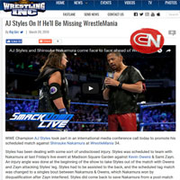Wrestlinginc