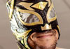 Lince Dorado
