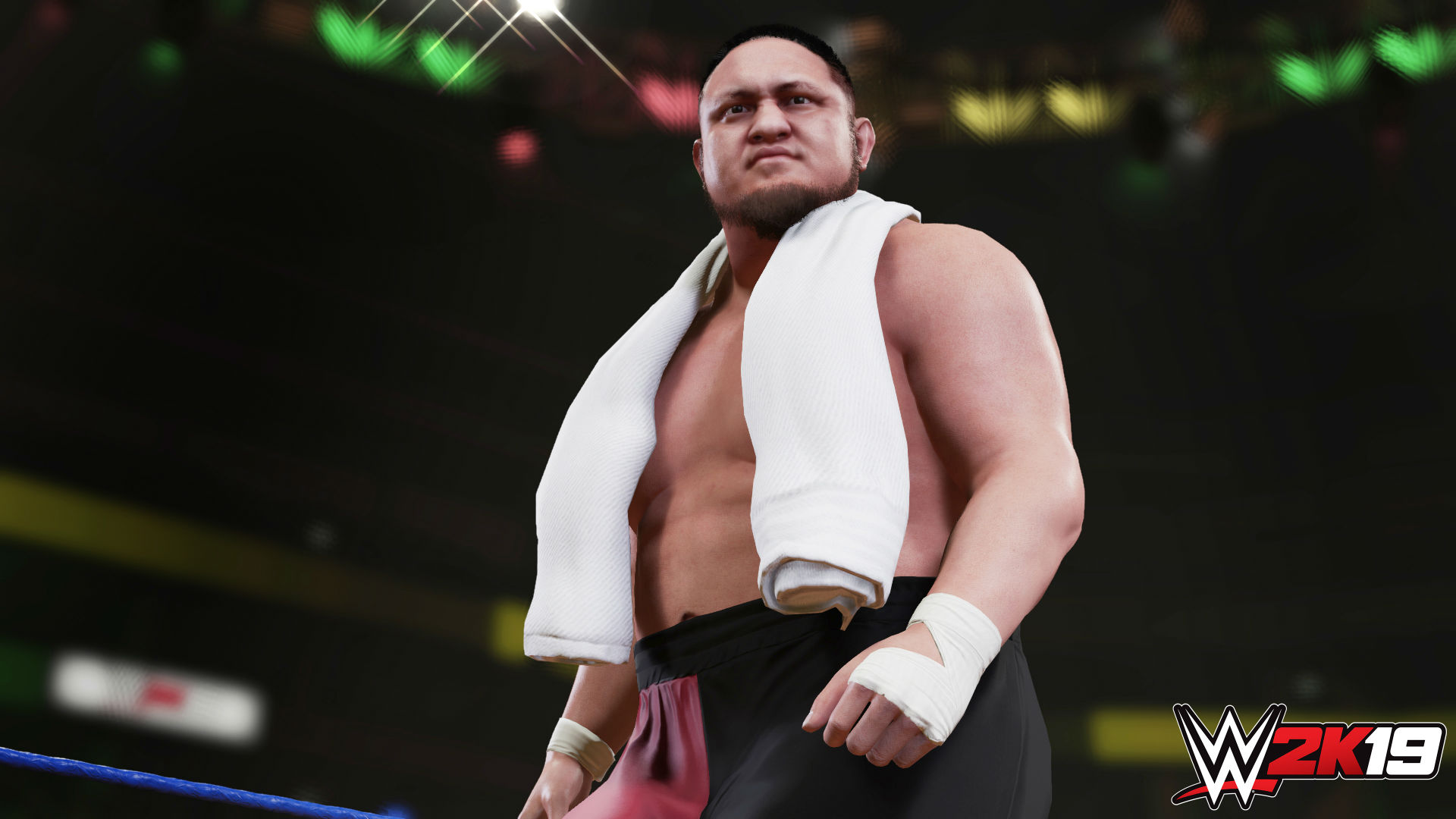WWE 2K19 Avis 2