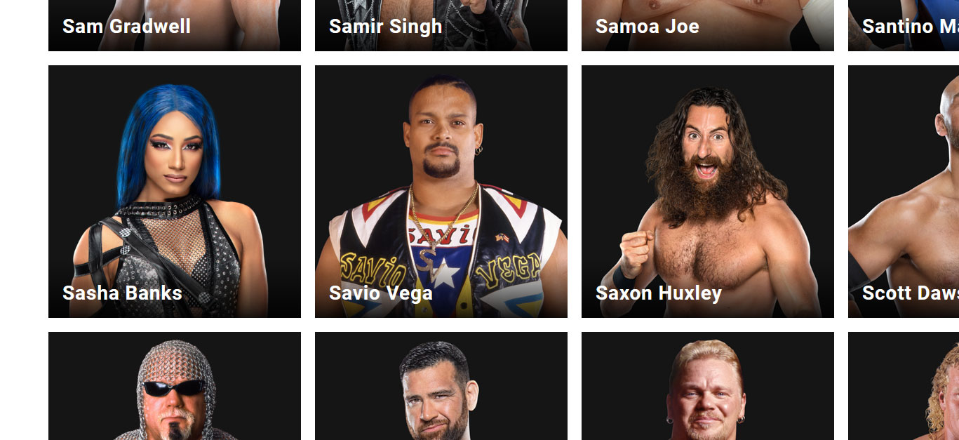 sasha banks wwe alumni